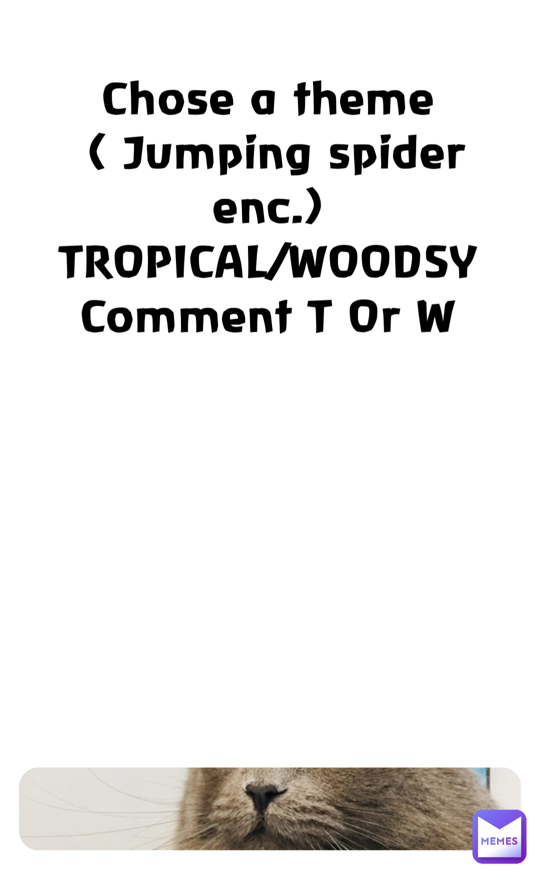 Chose a theme
( Jumping spider enc.)
TROPICAL/WOODSY
Comment T Or W