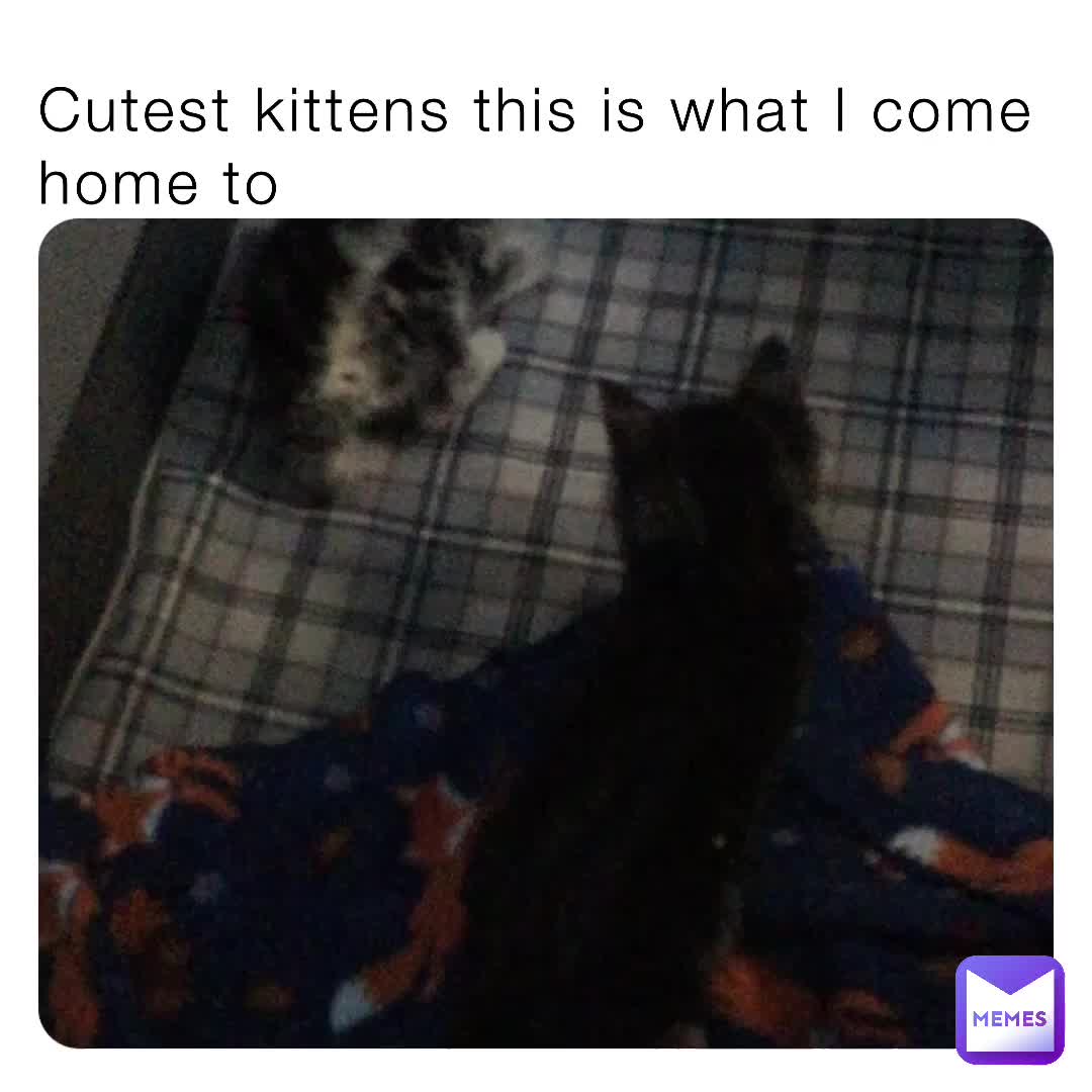 #Adorable