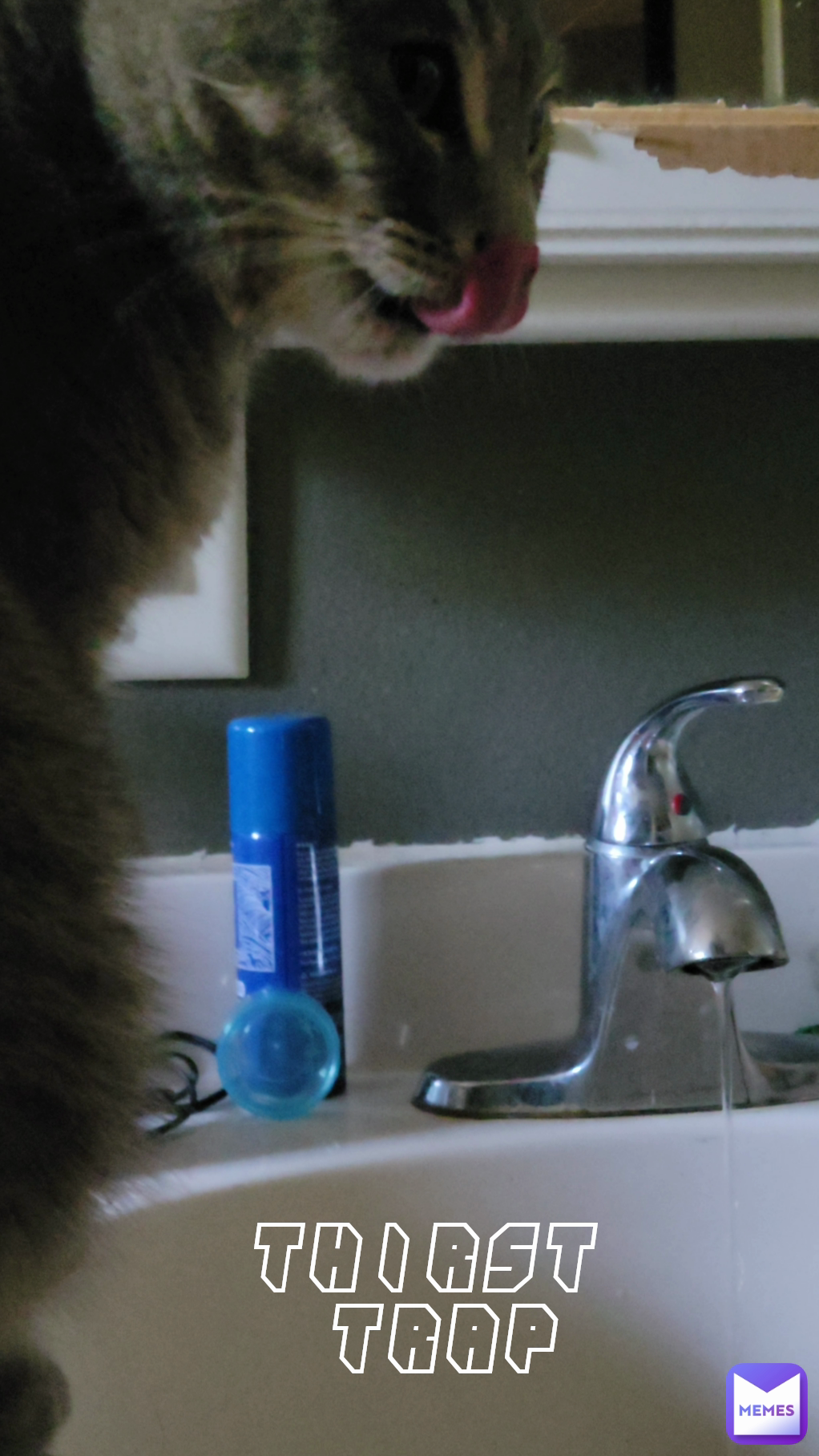 Meme by sixxla6sinister