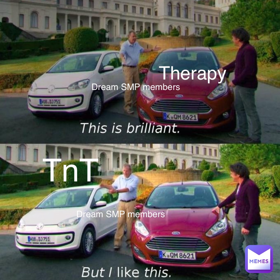 Therapy Dream SMP members TnT Dream SMP members