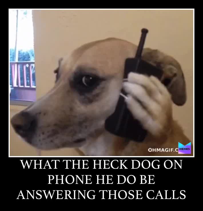 Meme shared by @bill_chedda