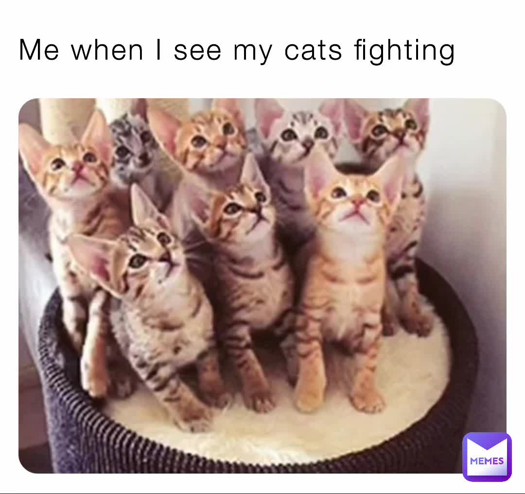 Meme shared by @jakeyd12