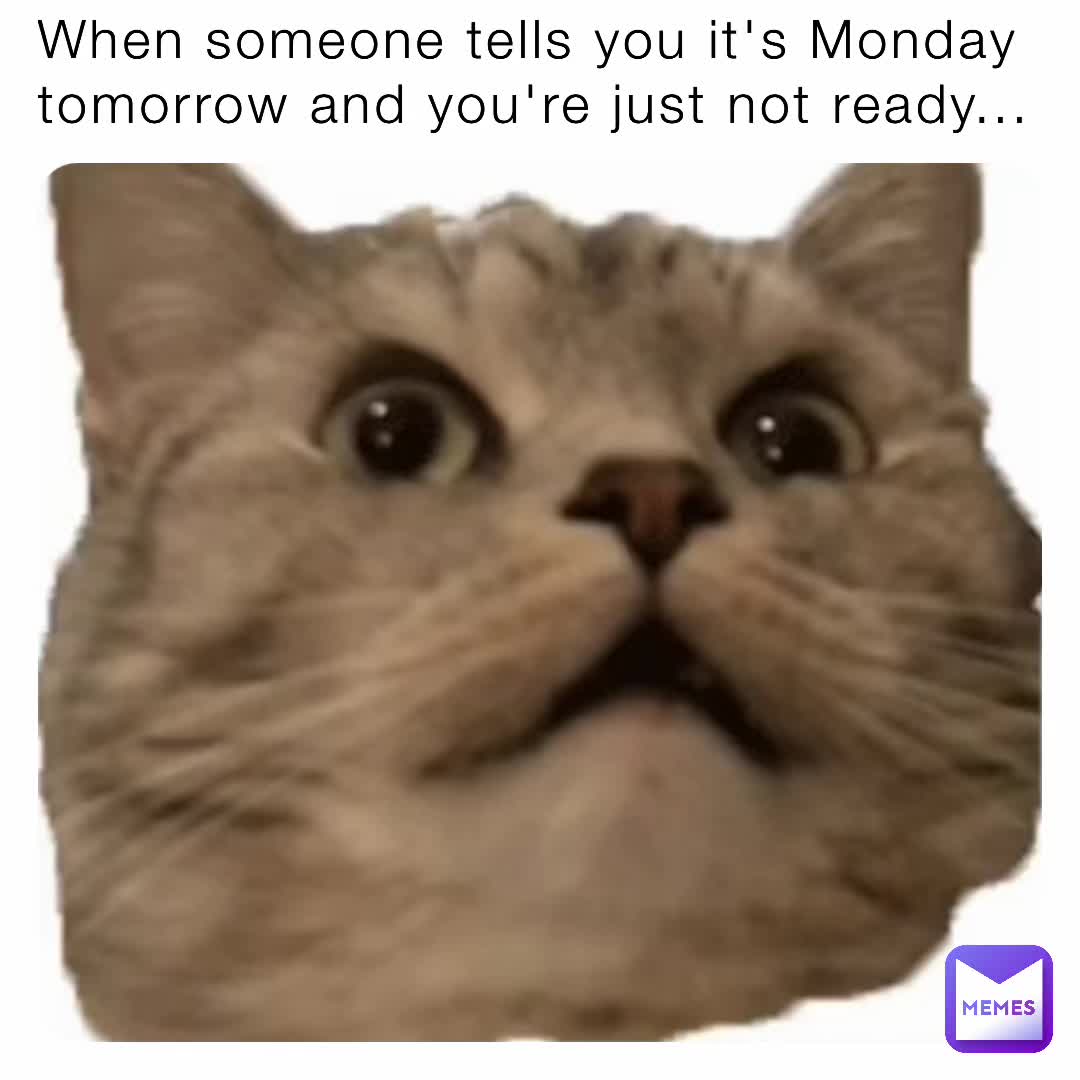 Meme shared by @jakeyd12