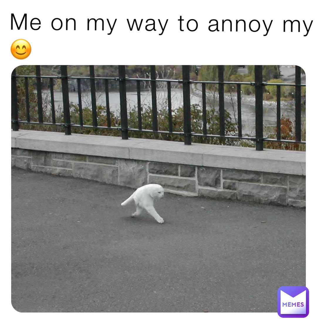 Meme by Ya_girl_Miyahhh