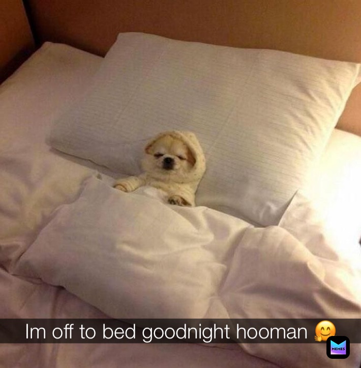 Meme by Bubblegumdrabunny