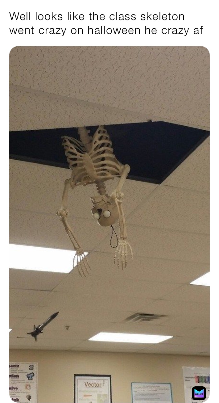 Meme by Bubblegumdrabunny