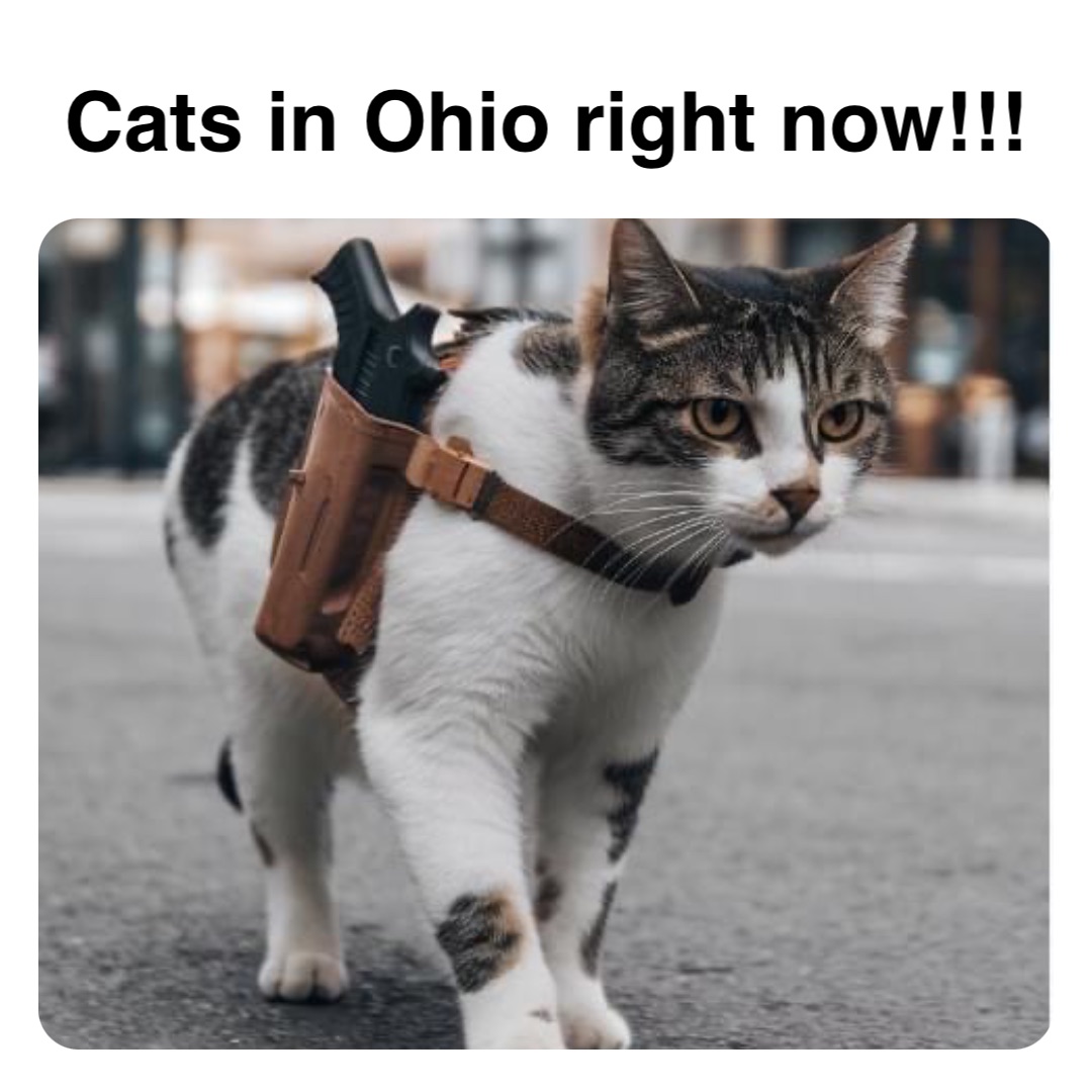 Double tap to edit Cats in Ohio right now!!!