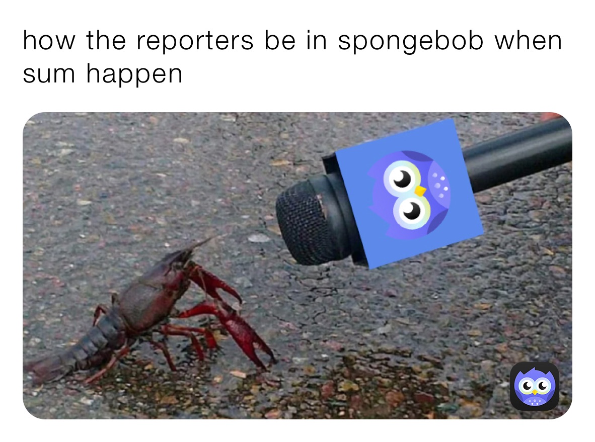 how the reporters be in spongebob when sum happen 