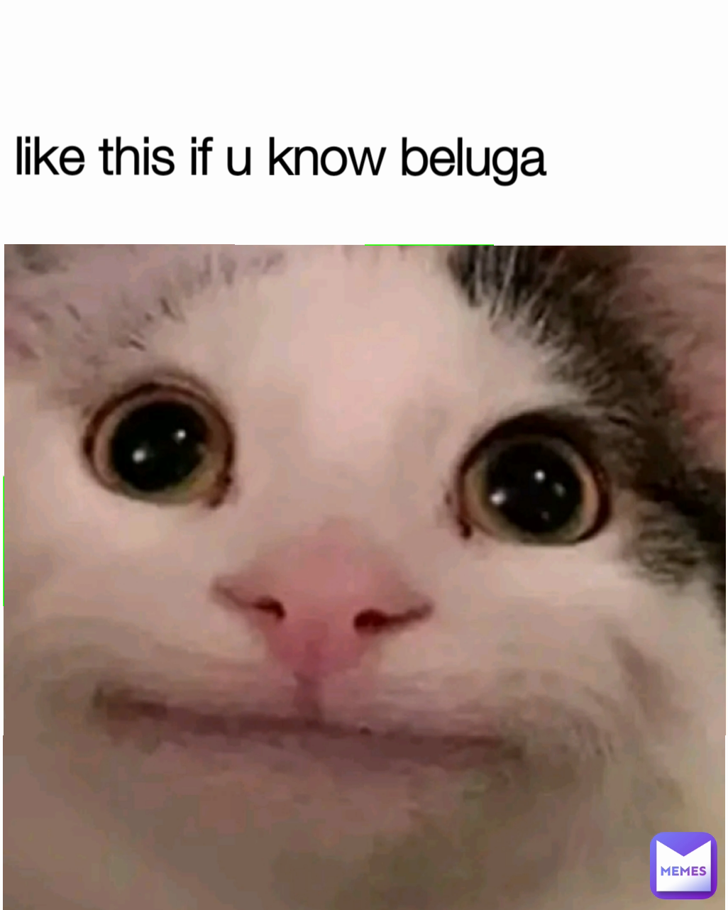 like this if u know beluga