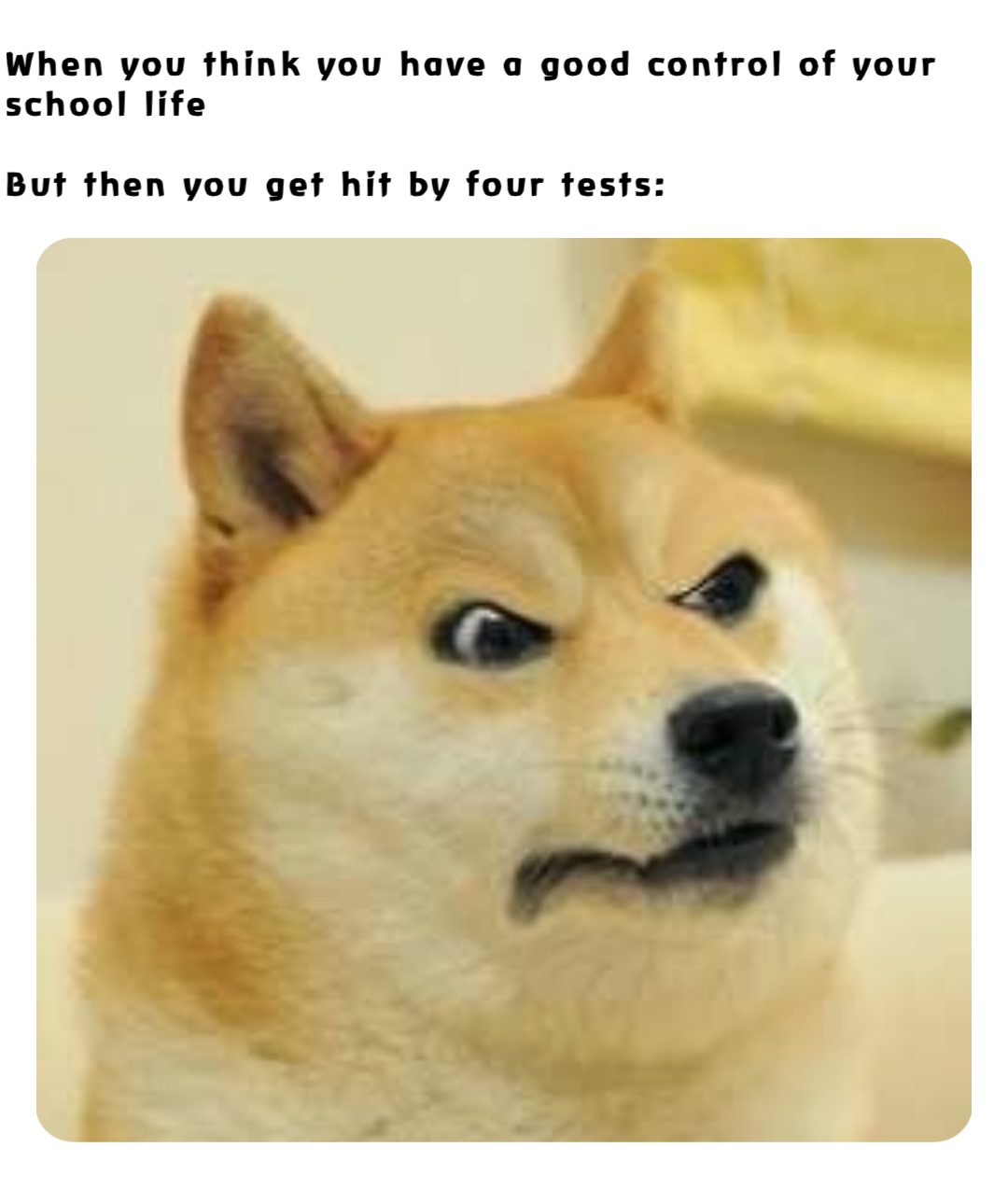 When you think you have a good control of your school life

But then you get hit by four tests:
