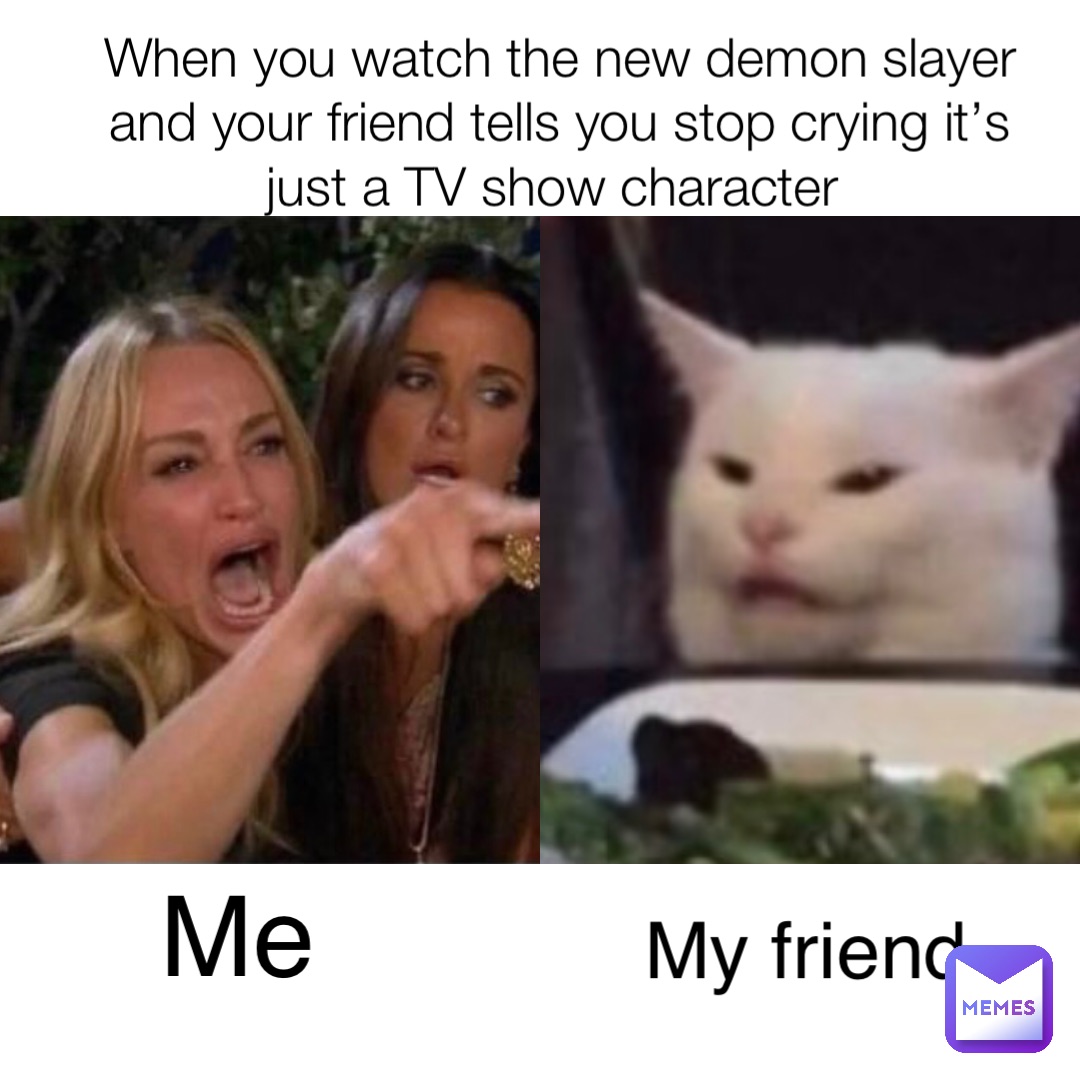 When you watch the new demon slayer and your friend tells you stop crying it’s just a TV show character Me My friend