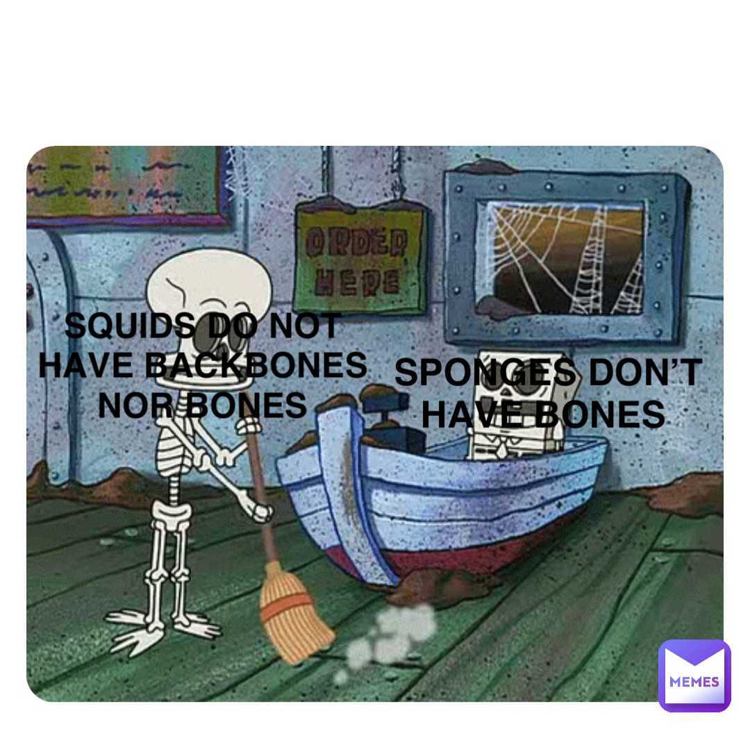 SPONGES DON’T 
Have bones Squids do not
have backbones
nor bones