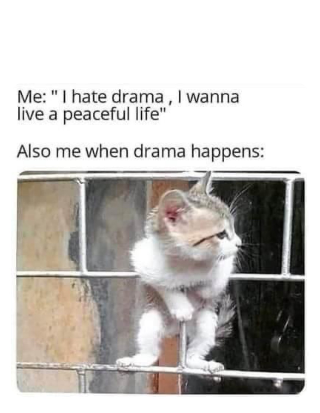 Double tap to edit
