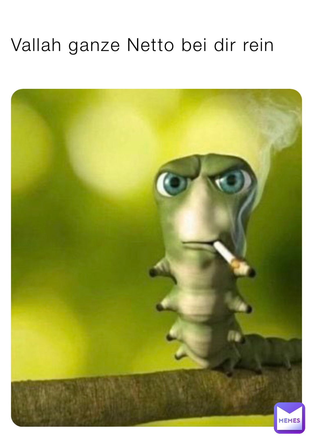 Vallah ganze Netto bei dir rein