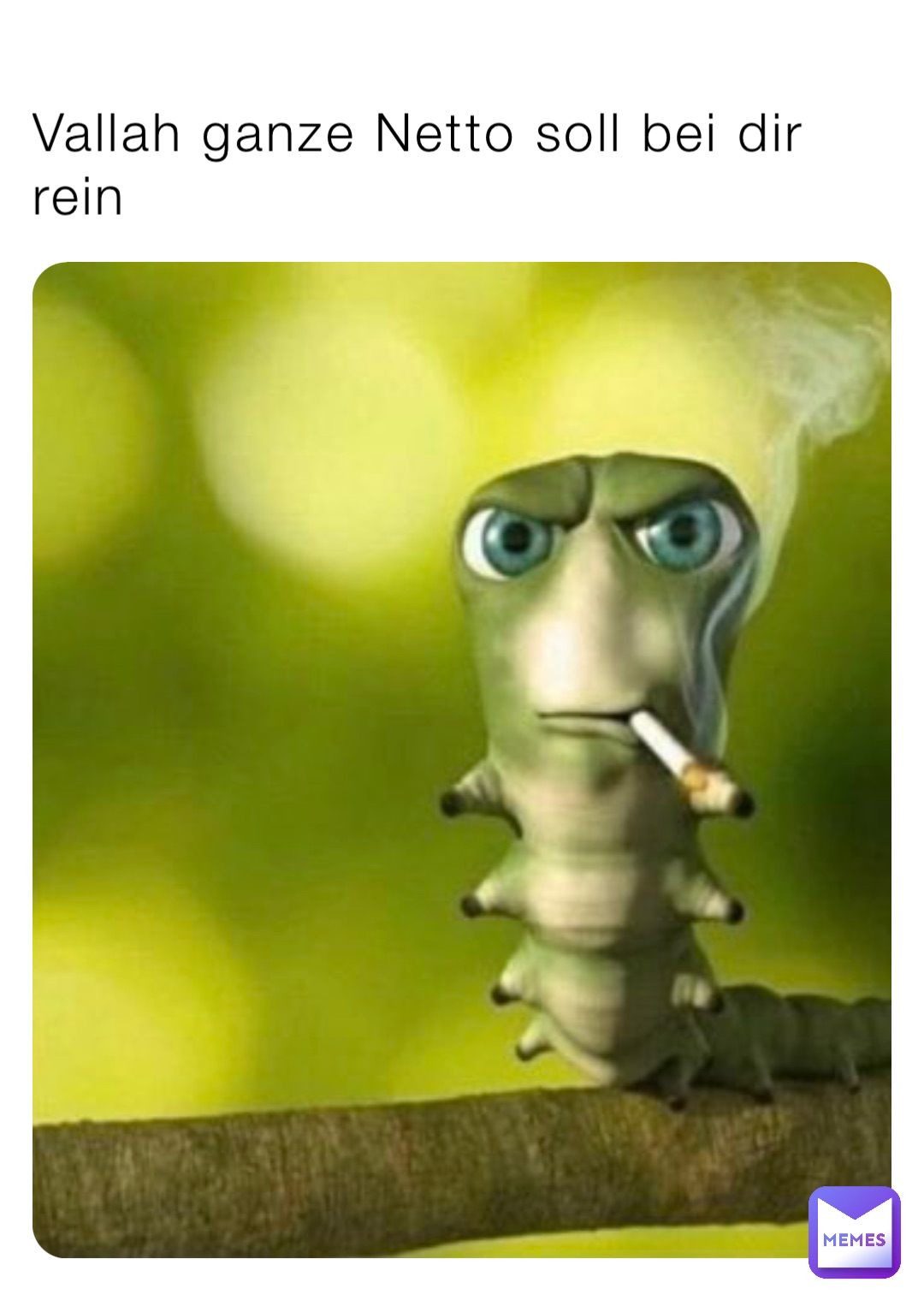 Vallah ganze Netto soll bei dir rein