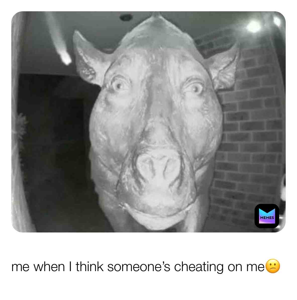Meme shared by @zappy19