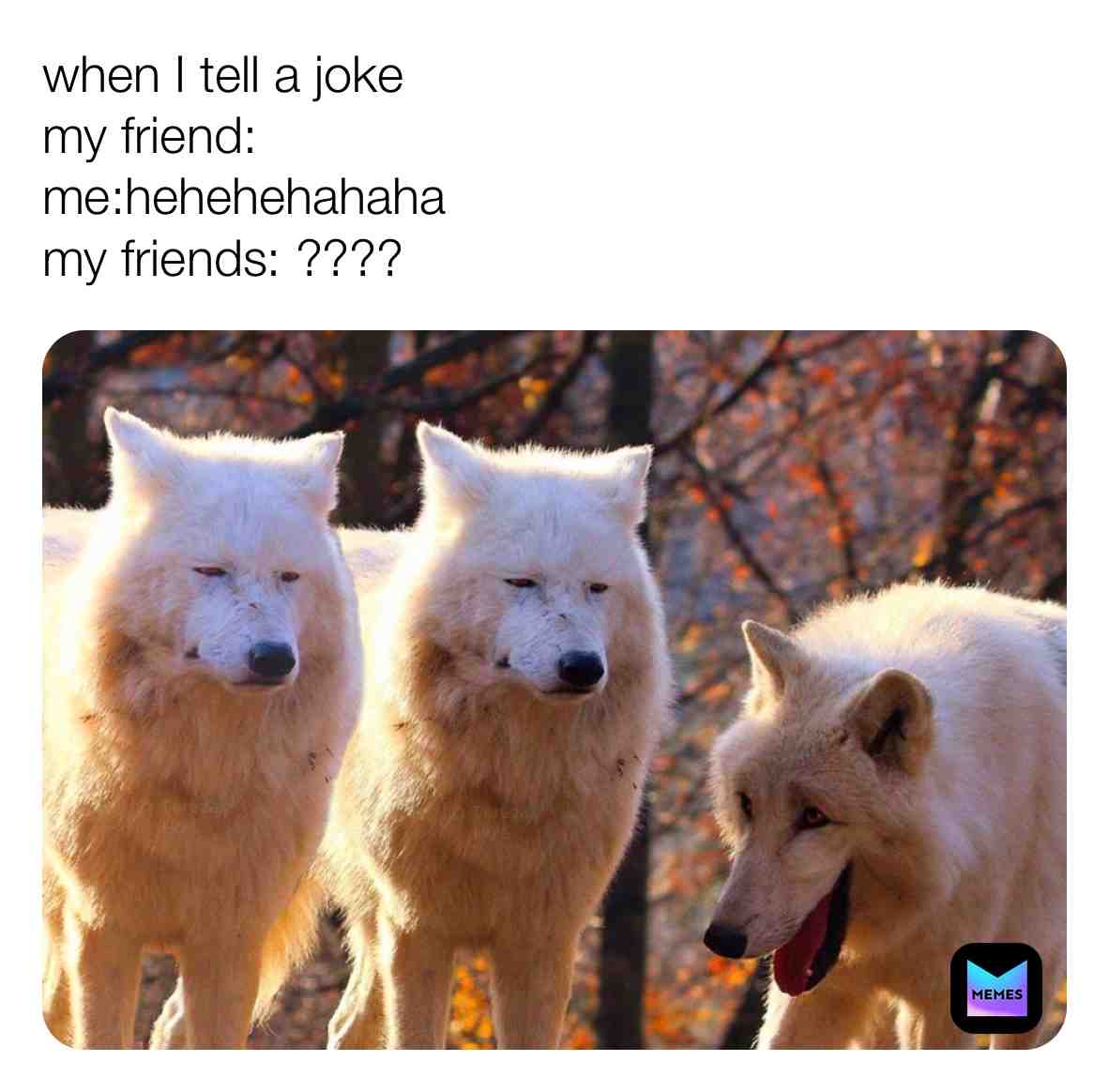 Meme shared by @zappy19