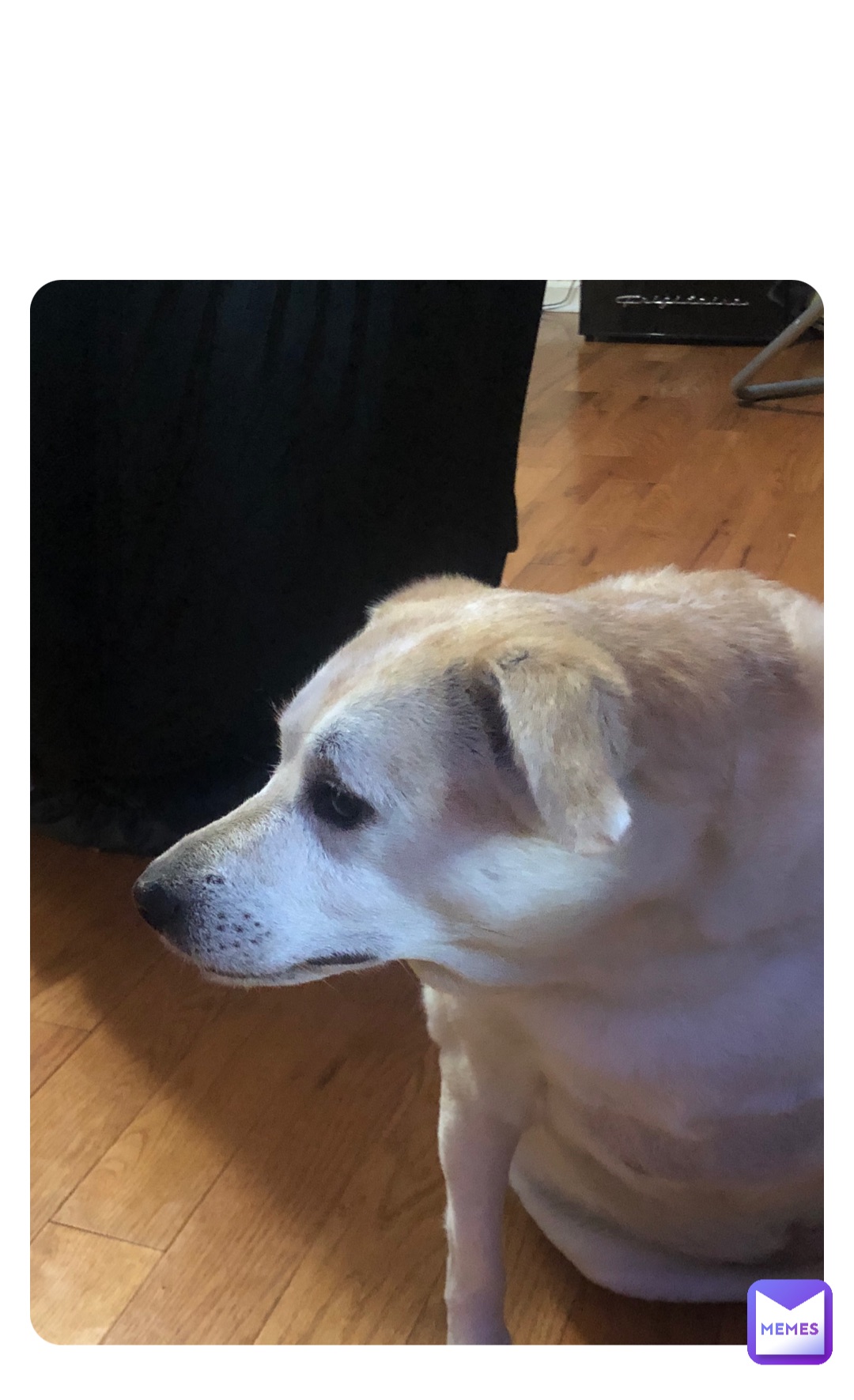 Meme by hockeydude12341234