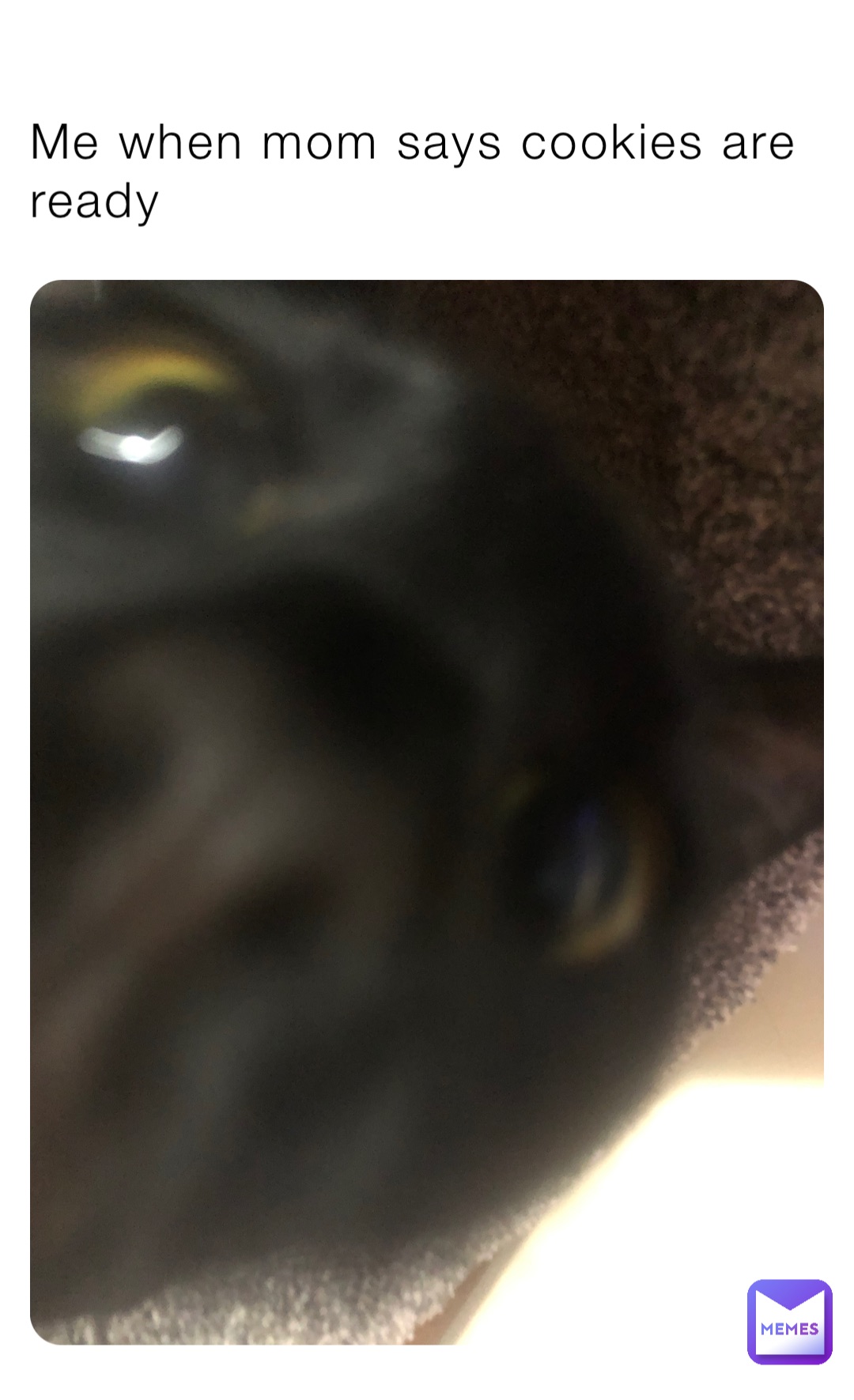 Meme by hockeydude12341234