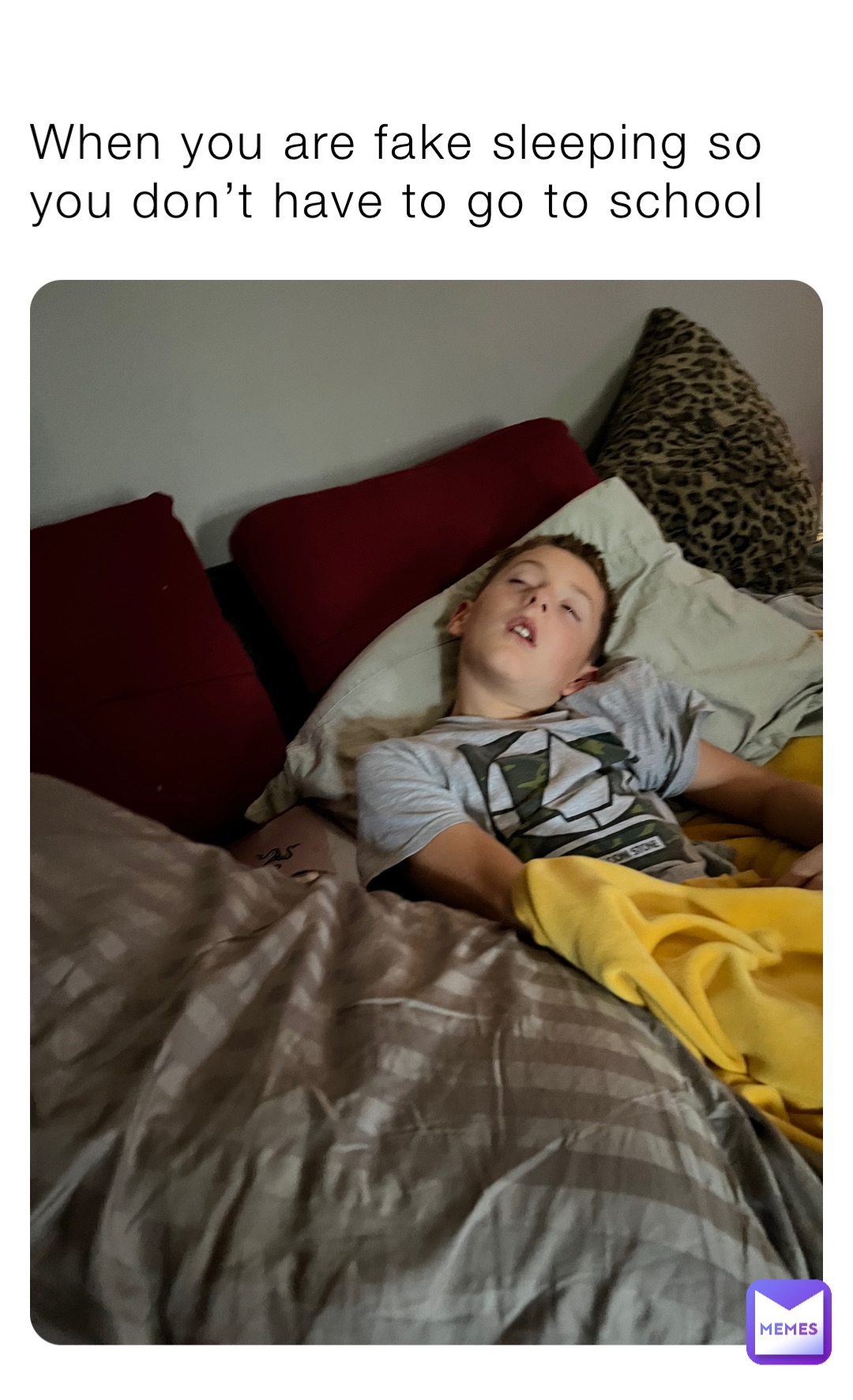 Meme by hockeydude12341234