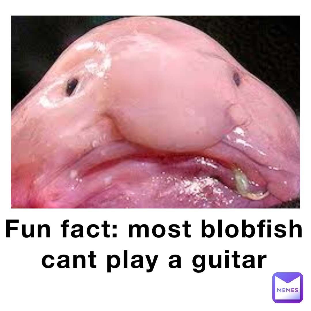 Fun fact: most blobfish cant play a guitar