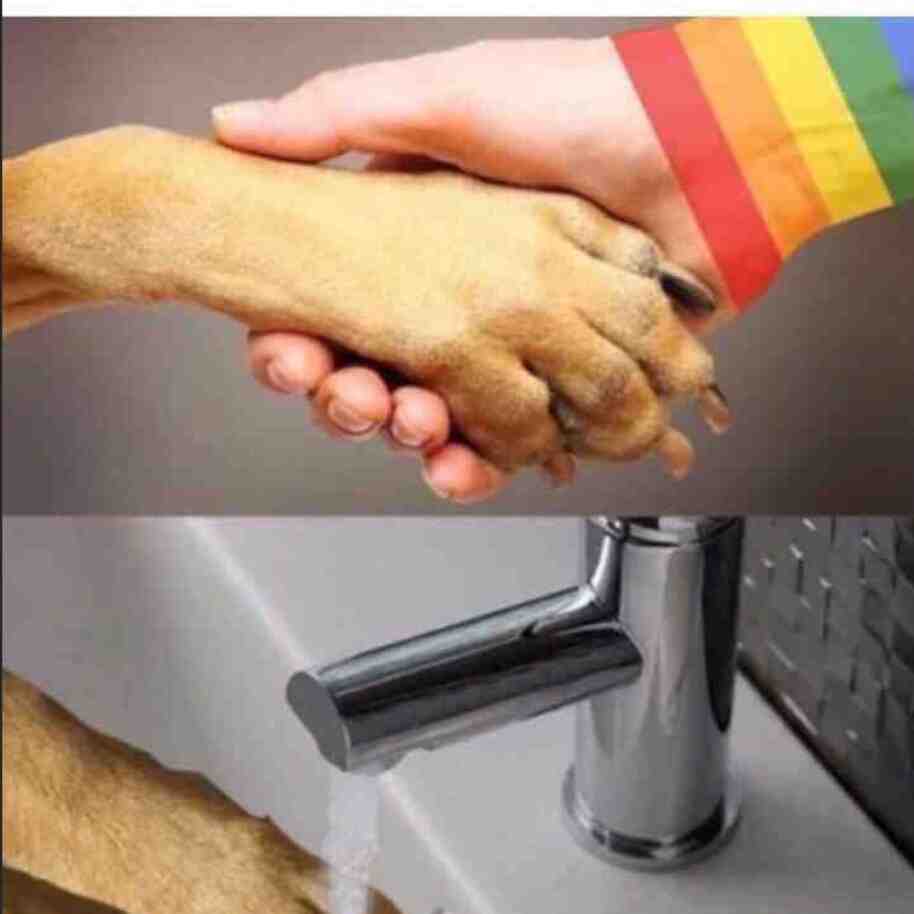 Meme preview
