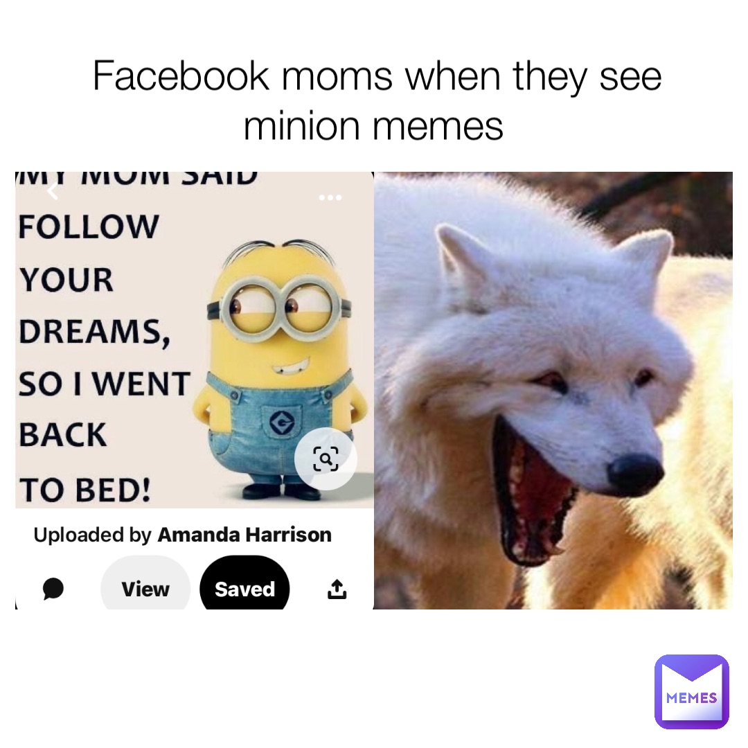 Facebook moms when they see minion memes