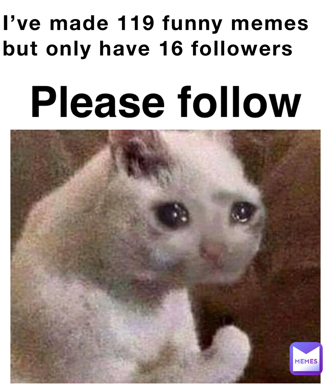 I’ve made 119 funny memes but only have 16 followers Please follow