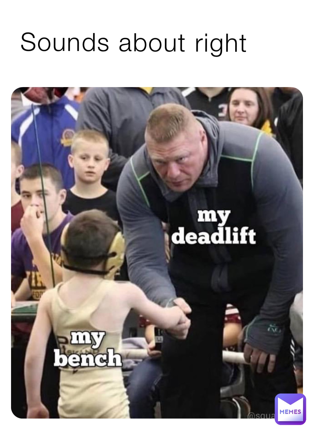 Sounds about right