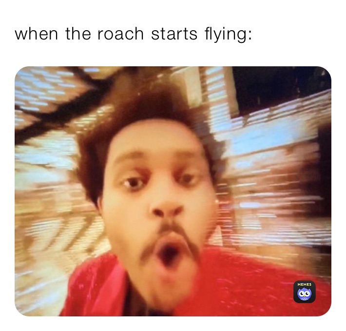 when the roach starts flying: