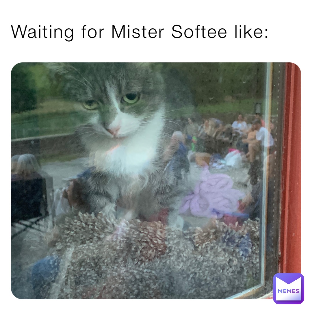 Waiting for Mister Softee like: