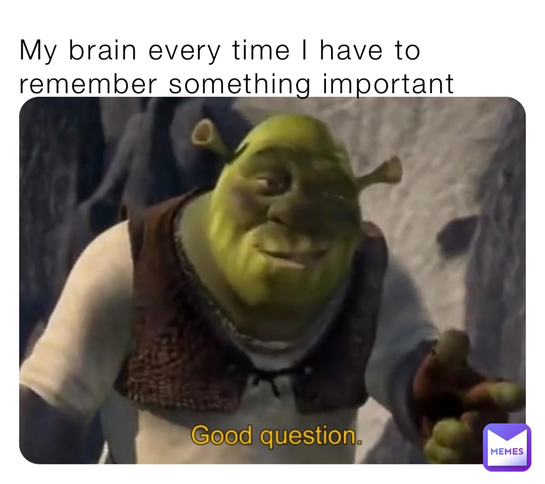 My brain every time I have to remember something important