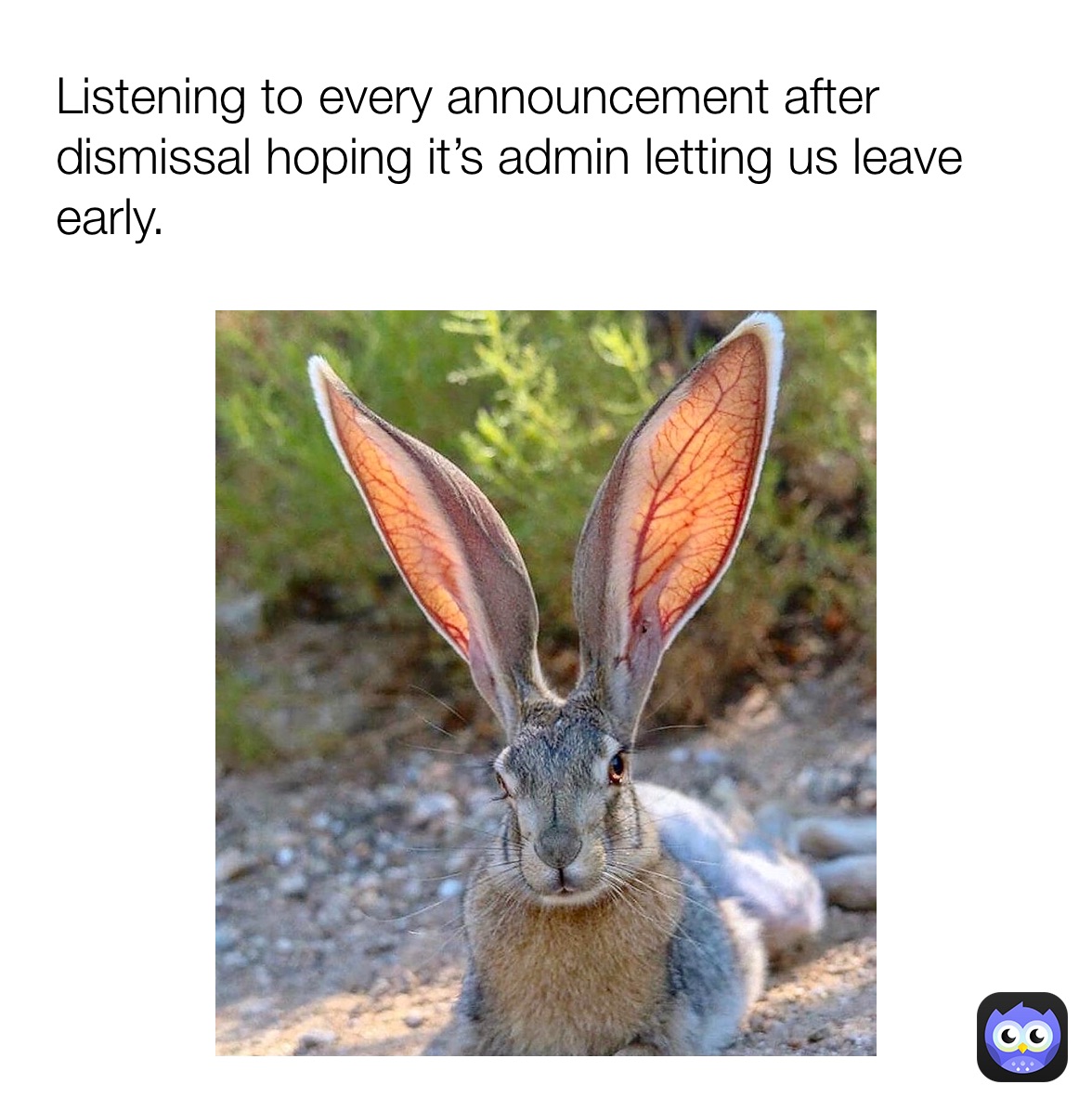 Meme by ihatemyjob69