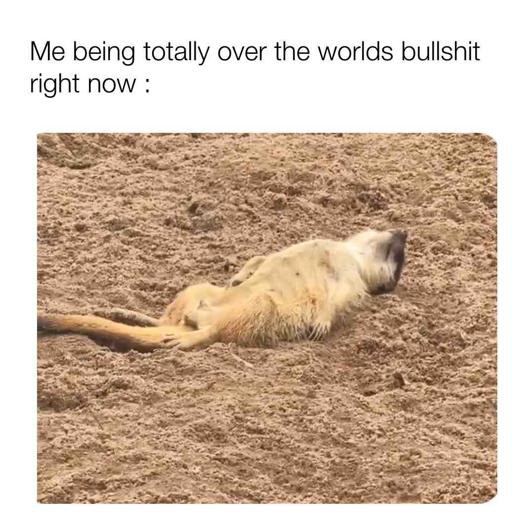 I can’t .... I just can’t