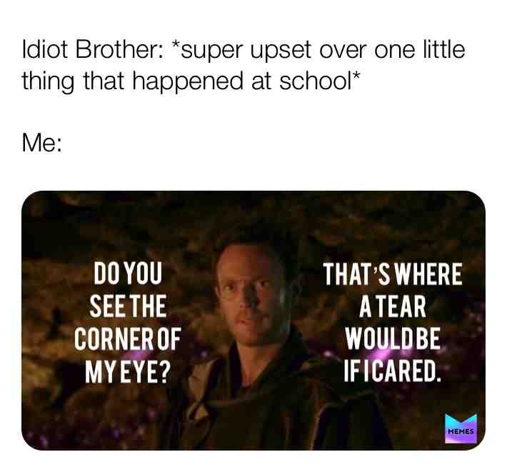 Do you see the corner of my eye? That's where a tear would be if I cared.\u201d
Life long story short, my brother can be really dumb sometimes. I love him, but he's still my brother. A shorter phrase for this meme is \u201cI'd cry if I cared\u201d. #brothers #brother #ificared #lifestruggles #thestruggleisreal #reallifestruggle #struggleisreal #extinct