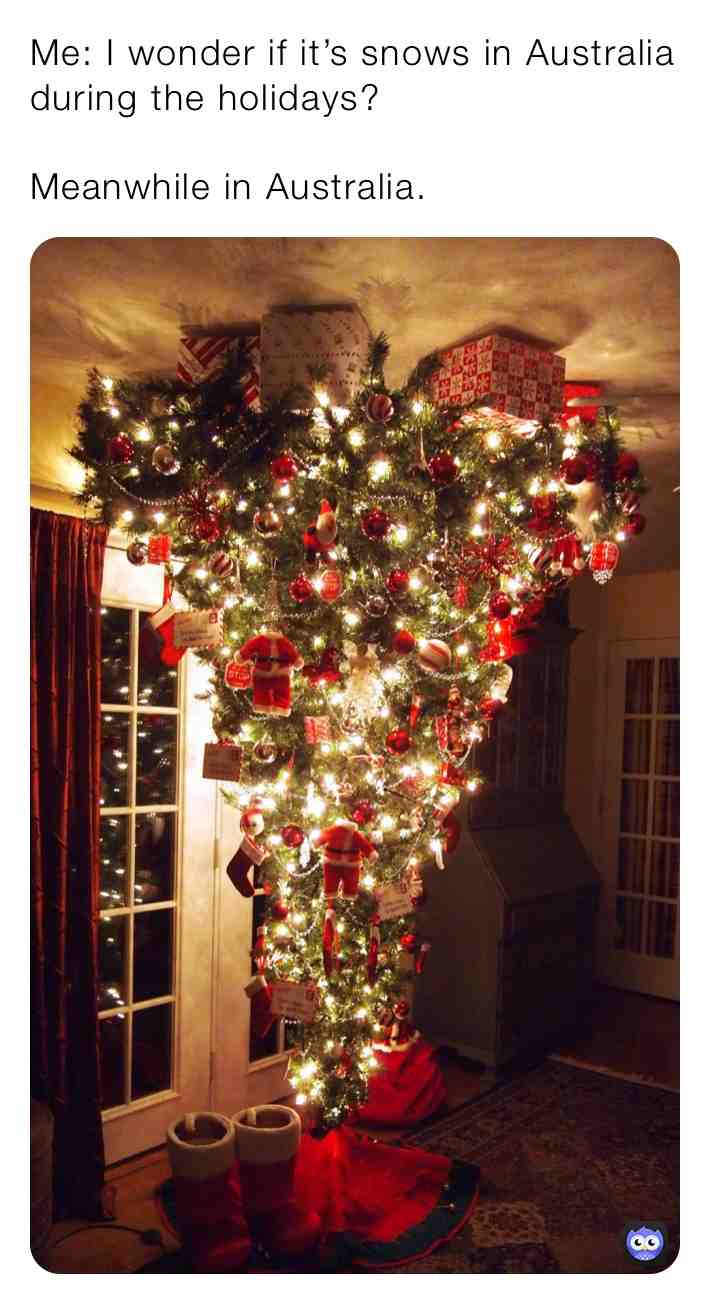 No it doesn\u2019t, snow just falls off into space. \ud83d\ude02
#christmas #christmasmemes #merrychristmas #snow #australia #christmastree #upsidedown #tree #wow