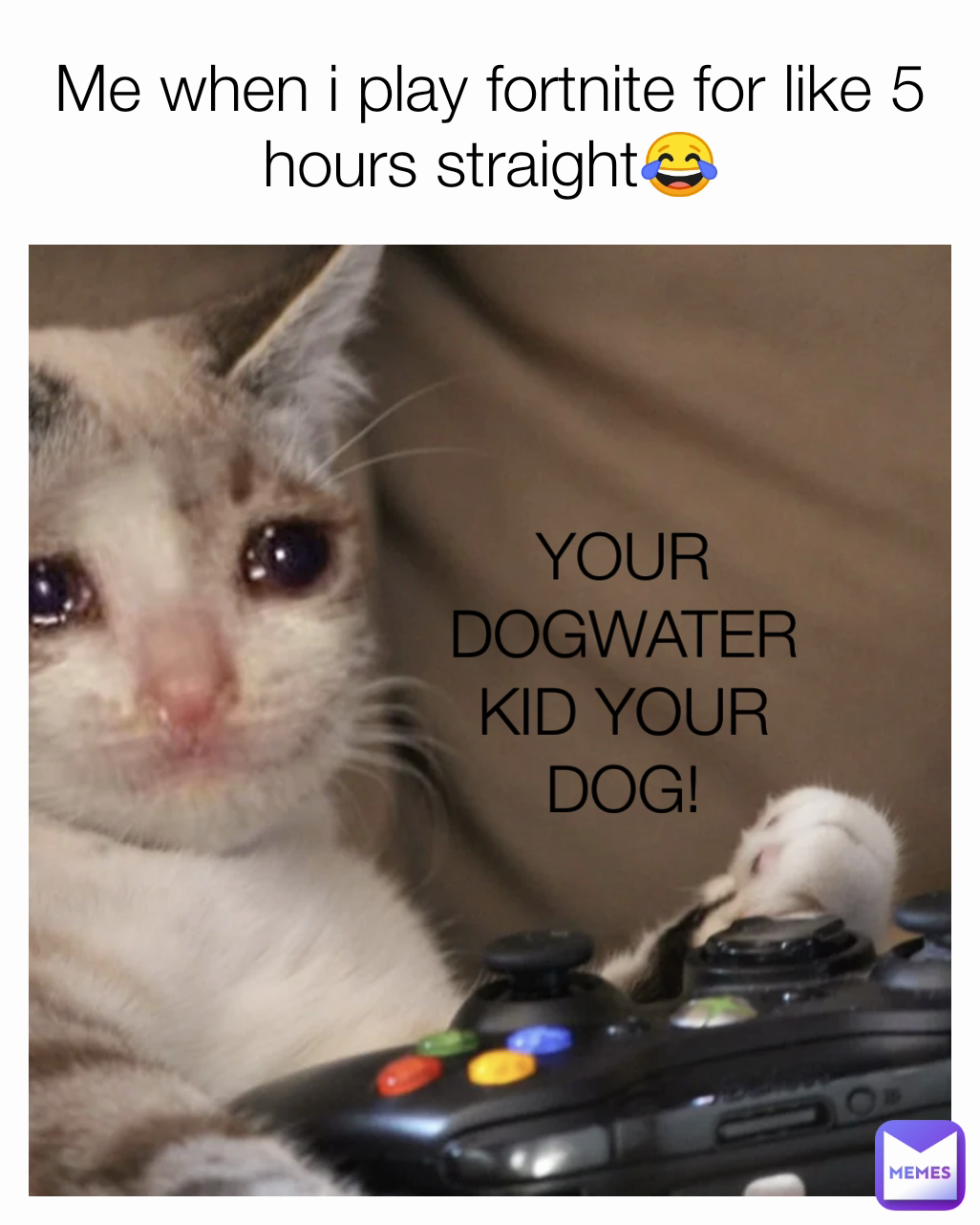 Dogwater  Know Your Meme