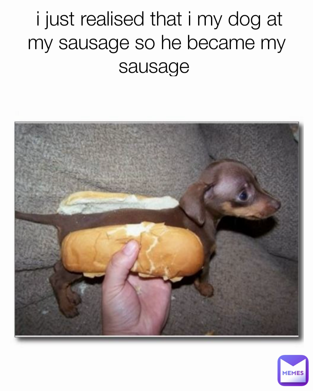  i just realised that i my dog at my sausage so he became my sausage 