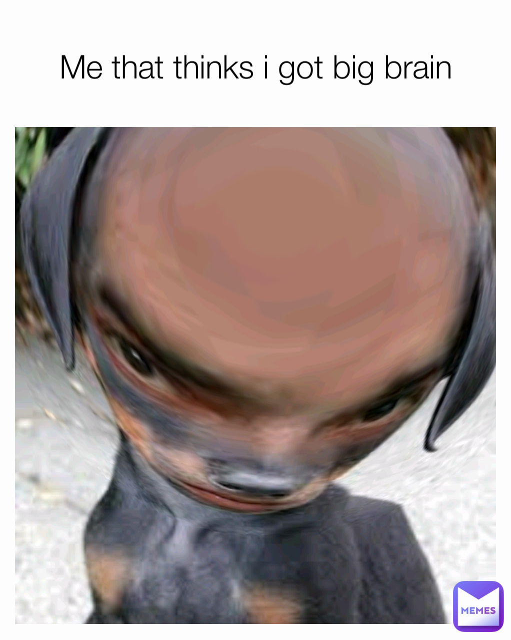 Me that thinks i got big brain
