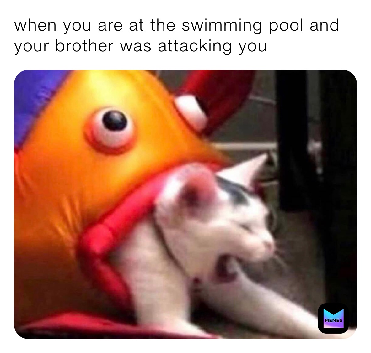 when you are at the swimming pool and your brother was attacking you