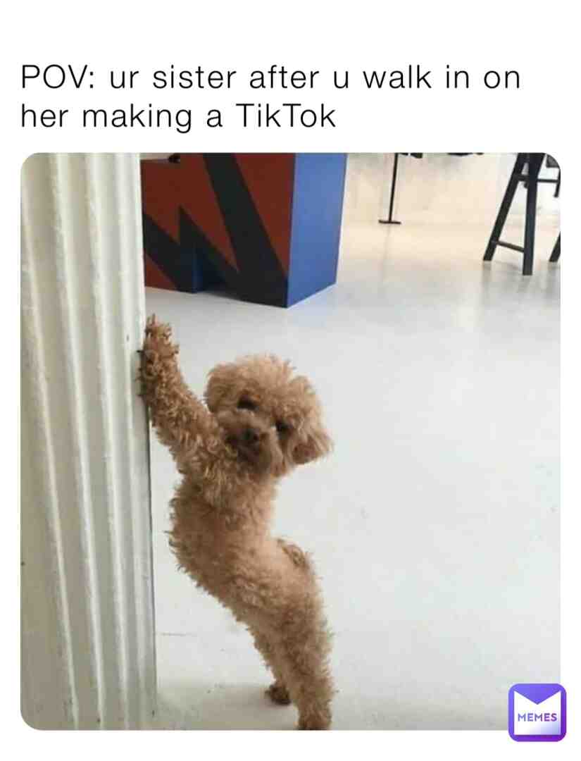 Meme shared by @memestealer.com