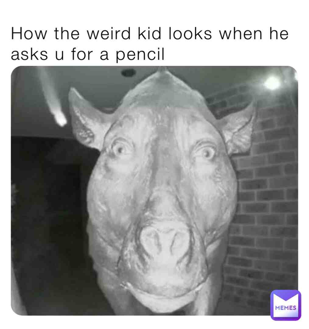 Meme shared by @memestealer.com