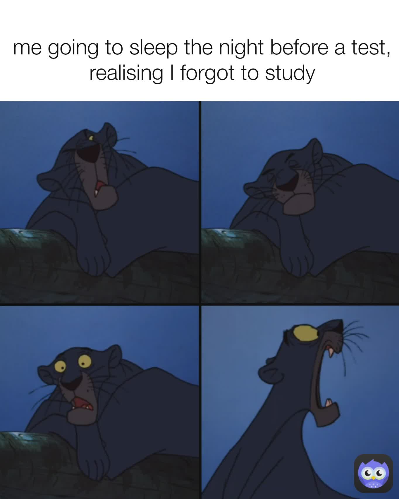 me going to sleep the night before a test, realising I forgot to study