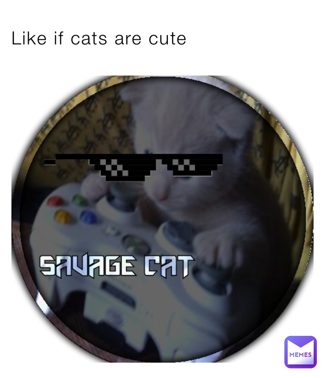 Like if cats are cute