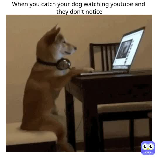 We got an intelligent one hear #doge