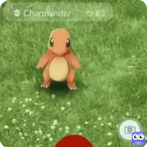 Bye Bye Charmander #charmander #pokemongo #meme