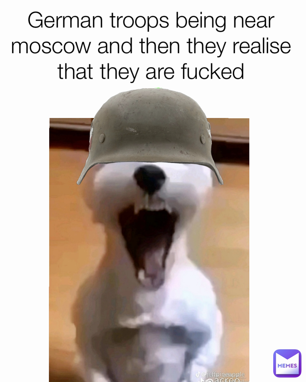German troops being near moscow and then they realise that they are fucked