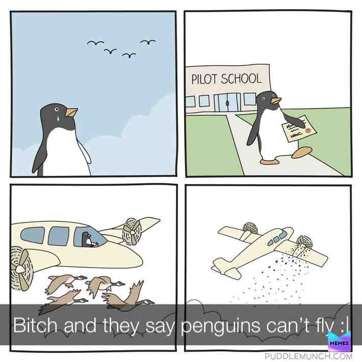 Meme shared by @SNEk_lvl5