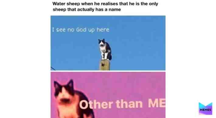Meme shared by @SNEk_lvl5