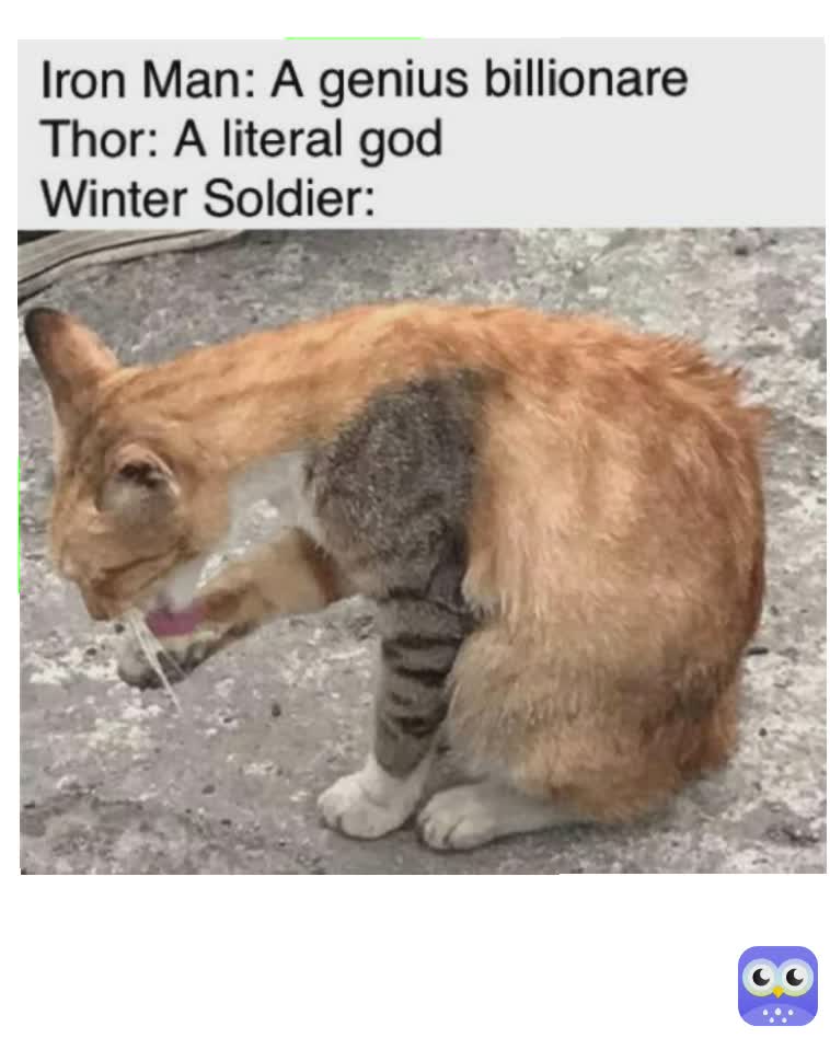 Meme by Invasion_of_flying_muffins